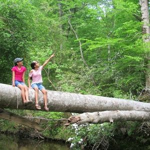 Meet your Posher, Heidi